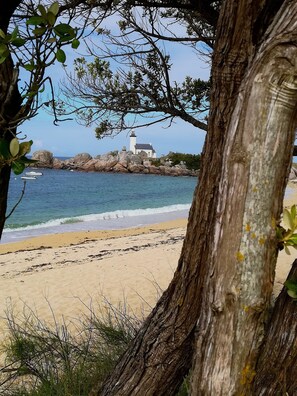 A beach with a rocky shoreline, a lighthouse, and a tree in the foreground. - 800m from beaches, GR34 and Ménéham classified site. 4 people.enclosed garden (Kerlouan)