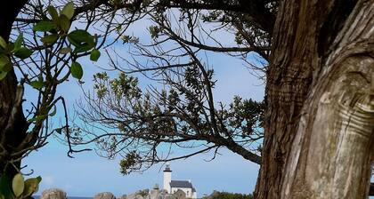 800m from beaches, GR34 and Ménéham classified site. 4 people.enclosed garden