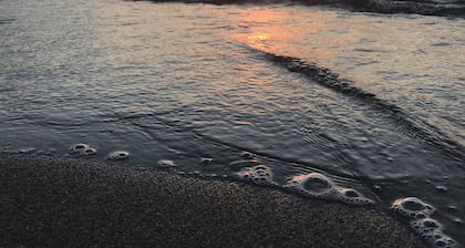 COZY APARTMENT - PODERE BALOO