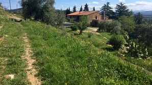 A stone house with a red roof, surrounded by lush greenery and a dirt path.