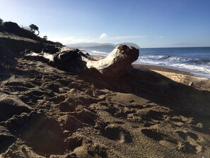 Beach nearby, sun-loungers