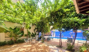 Outdoor dining - La Casa De Illora, swimming pool, fireplace, barbecue, in the town center (Íllora)