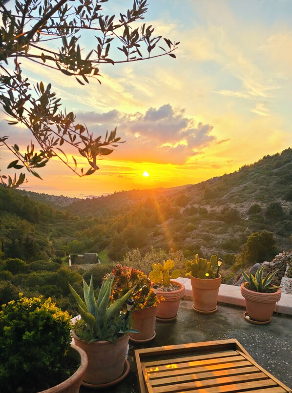Una terraza con plantas en macetas y vistas a un paisaje montañoso al atardecer.