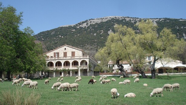 Un bâtiment en pierre, doté d’arcades et d’un balcon, entouré d’un champ verdoyant où paissent des moutons.