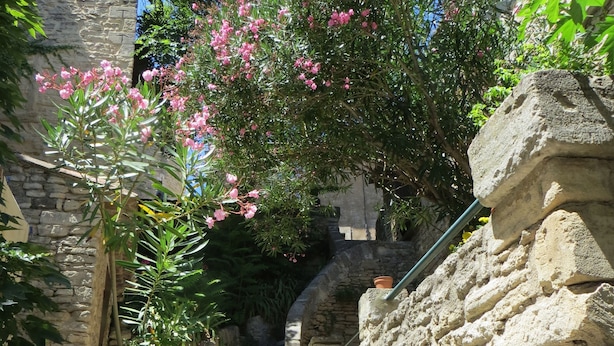 A stone staircase leading to a building with a pink flowering tree above it. - Air-conditioned detached house with a pool, on a family-owned property (Gordes)