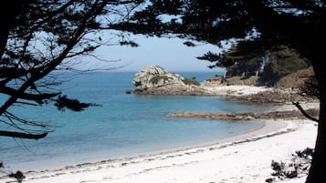 En la playa, sillas reclinables de playa