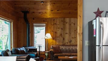 TV connectée, cheminée, jeux vidéo, lecteur de DVD