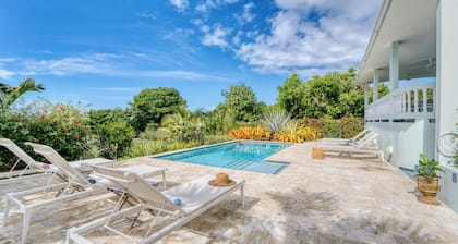 R Villa - Walk to Steps Beach with POOL, Ocean View & BOCCE Court