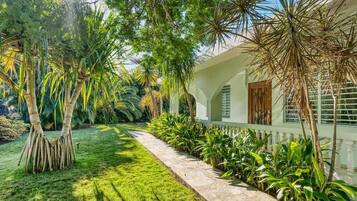 Área da propriedade