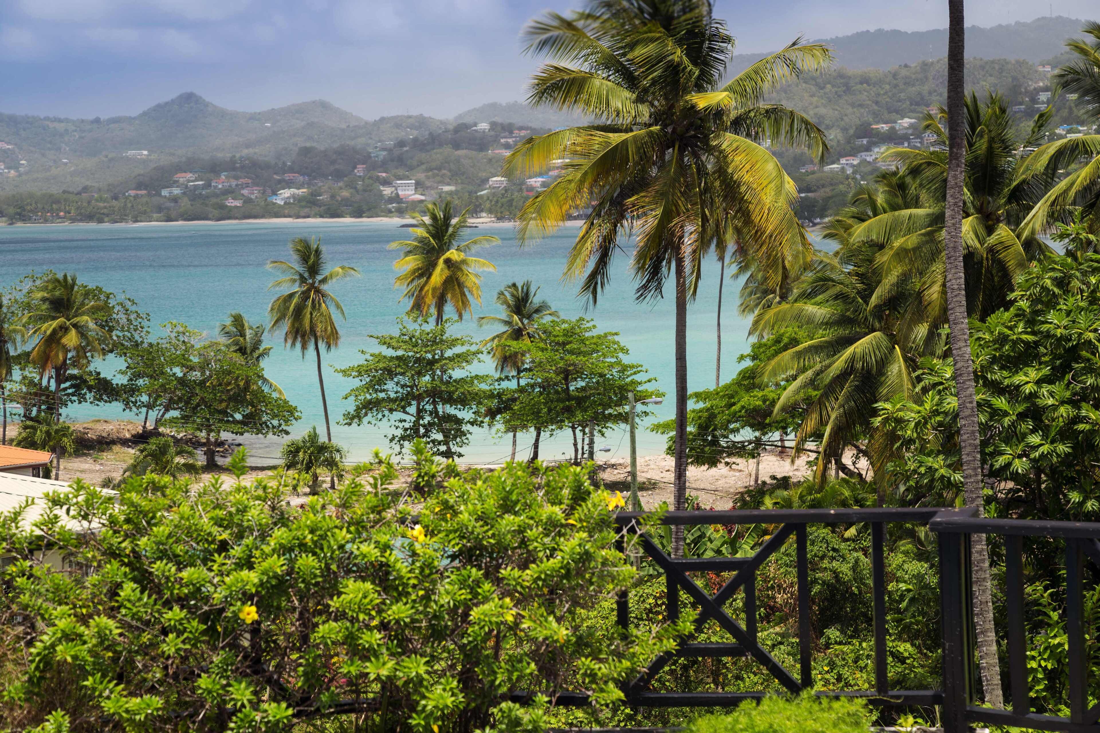 Una spiaggia tropicale con palme, una limpida vista sull'oceano e montagne sullo sfondo.