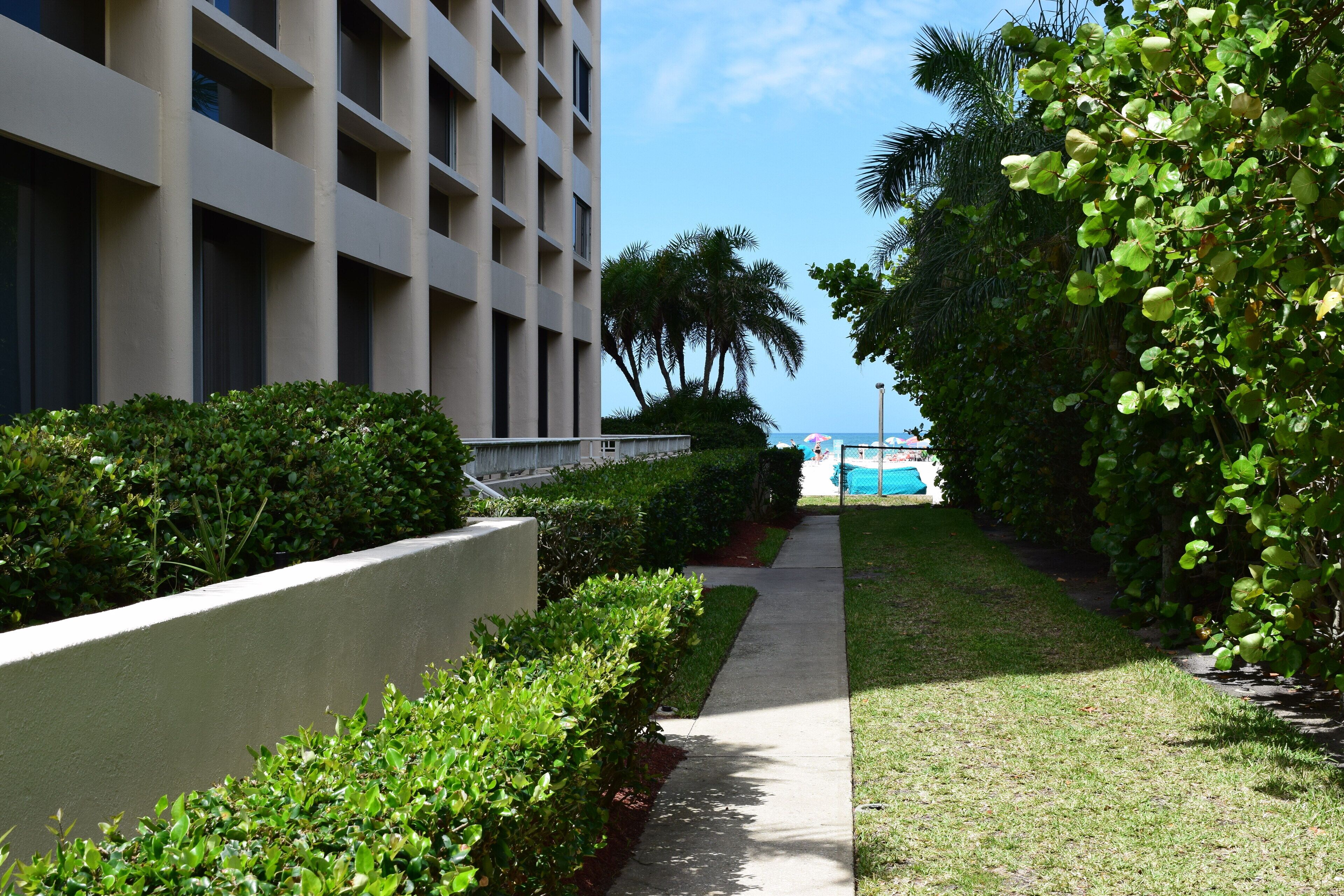 A pathway flanked by well-maintained hedges and a building with a modern facade.