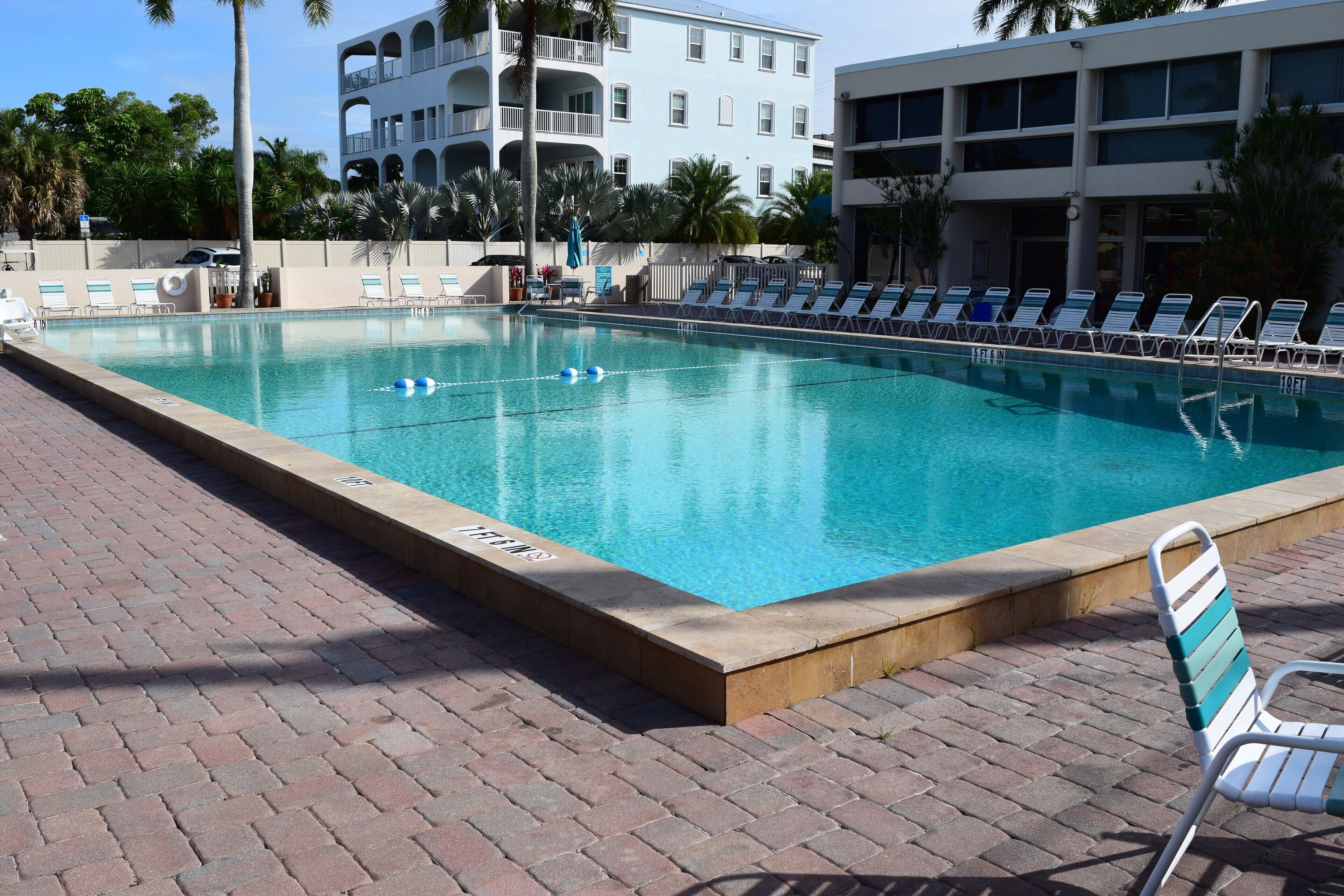 A rectangular swimming pool with a brick border, surrounded by lounge chairs and a palm tree.