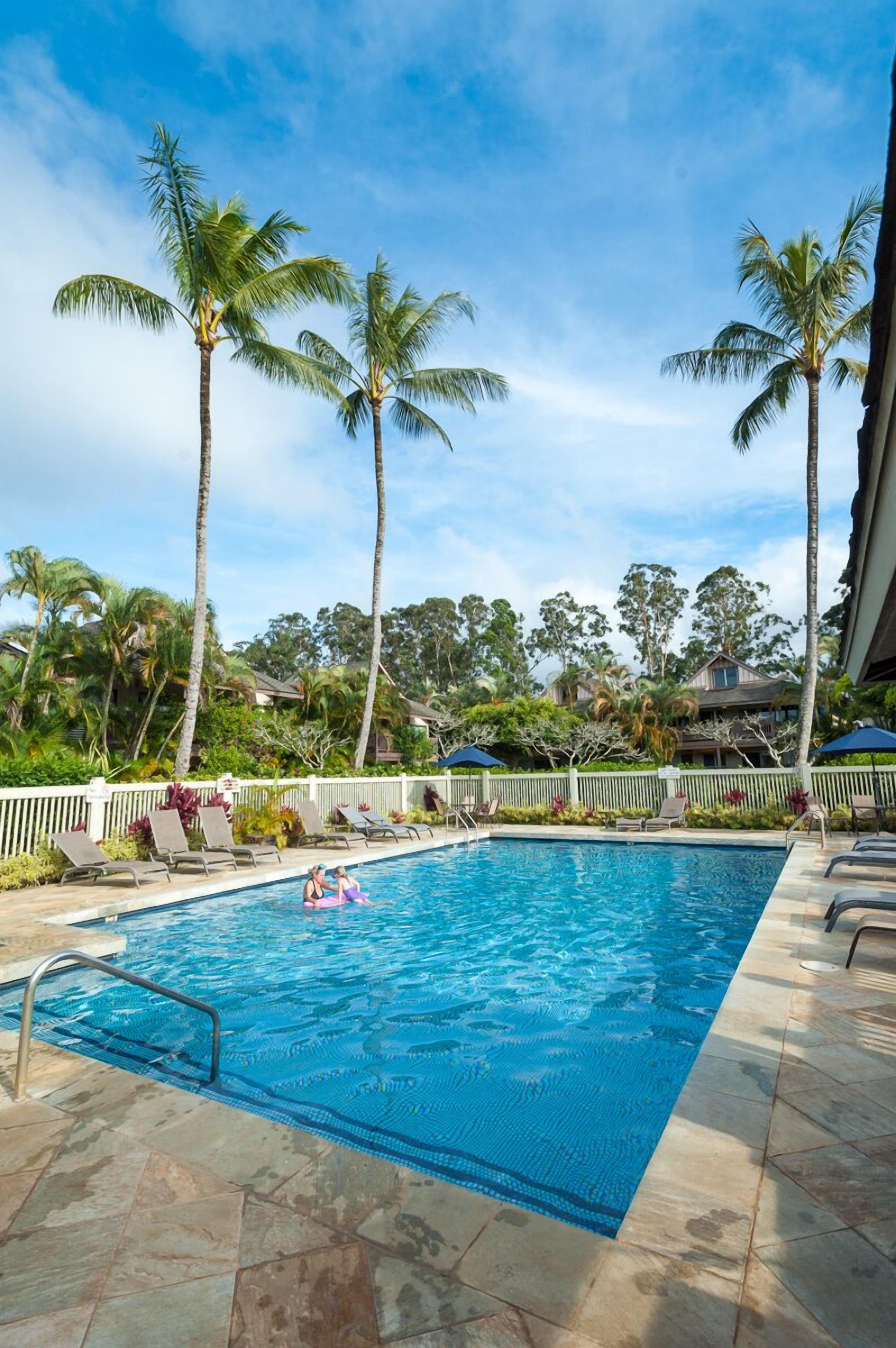 A swimming pool with palm trees and lounge chairs.