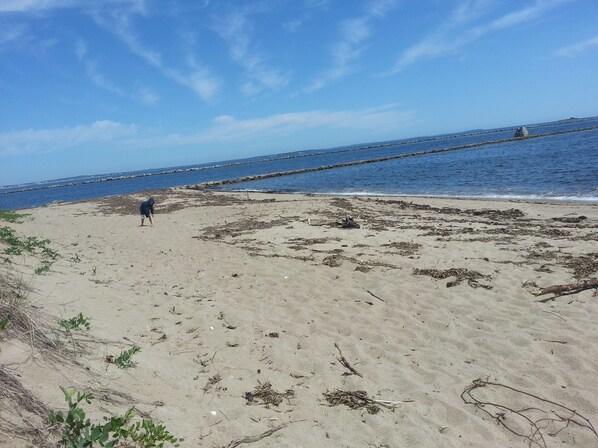 Beach nearby, sun loungers