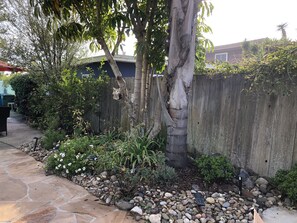 Property grounds - REMODELED  COTTAGE -BEST BACKYARD AREA IN PIERPONT! (Ventura)