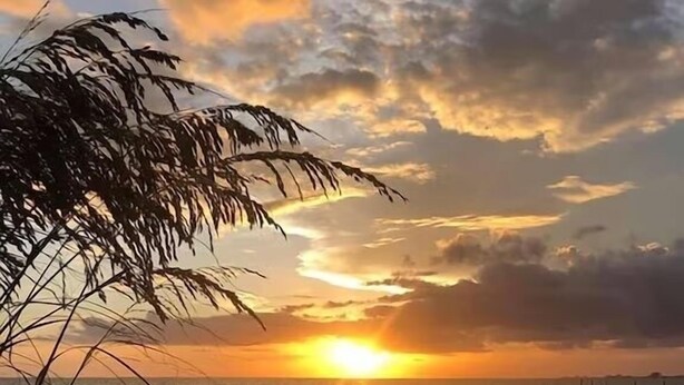 A beach scene with a sunset, waves, and a palm tree. - Beautiful condo on the Beach with Heated Pool, Pickleball, free WiFi & parking! (Fort Myers Beach)