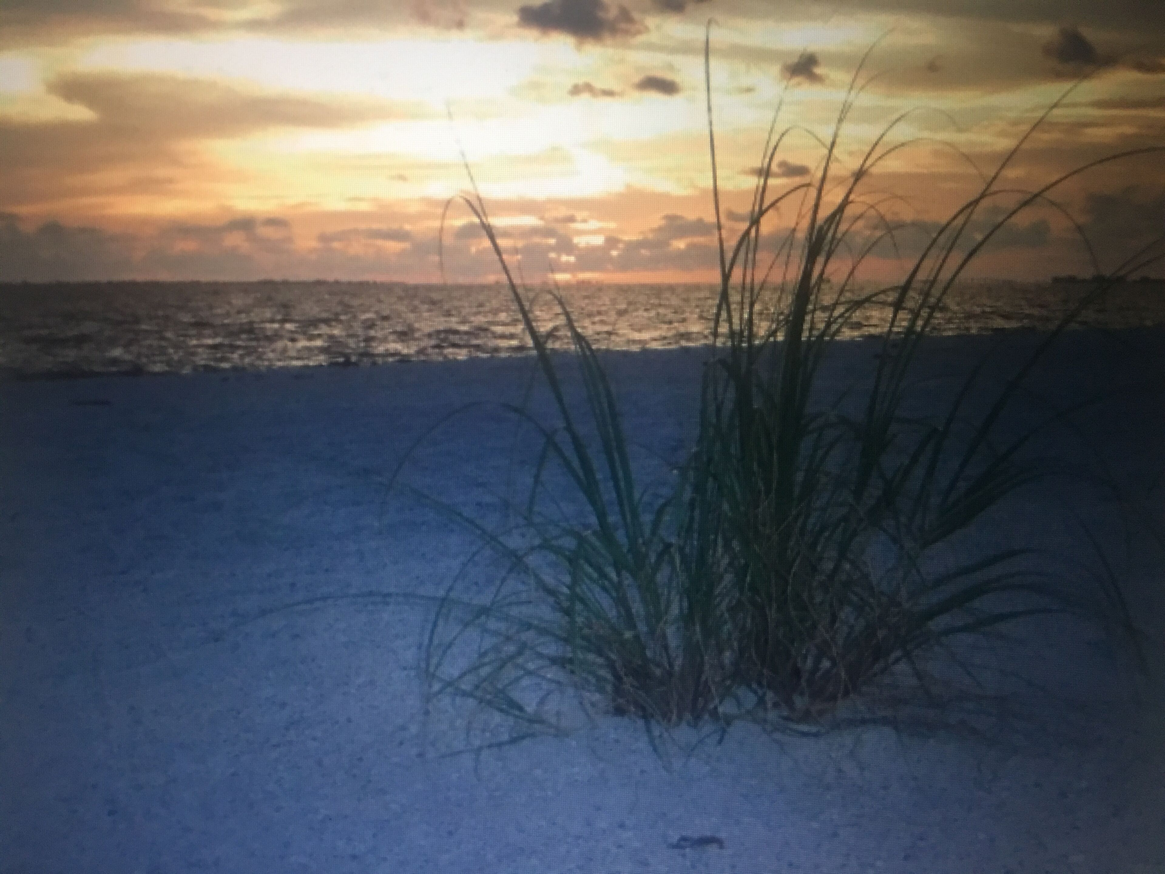 En strandscen med sand och gräs i förgrunden och en solnedgång i bakgrunden.