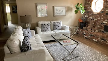 Smart TV, fireplace, DVD player, books