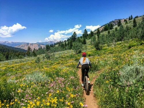Mountain Chic Cheyenne Cañon Cottage, Steps to The Broadmoor & Amazing Hiking!