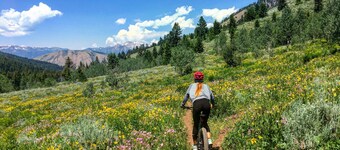 Mountain Chic Cheyenne Cañon Cottage, Steps to The Broadmoor & Amazing Hiking!