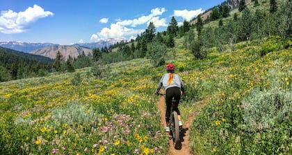 Mountain Chic Cheyenne Cañon Cottage, Steps to The Broadmoor & Amazing Hiking!