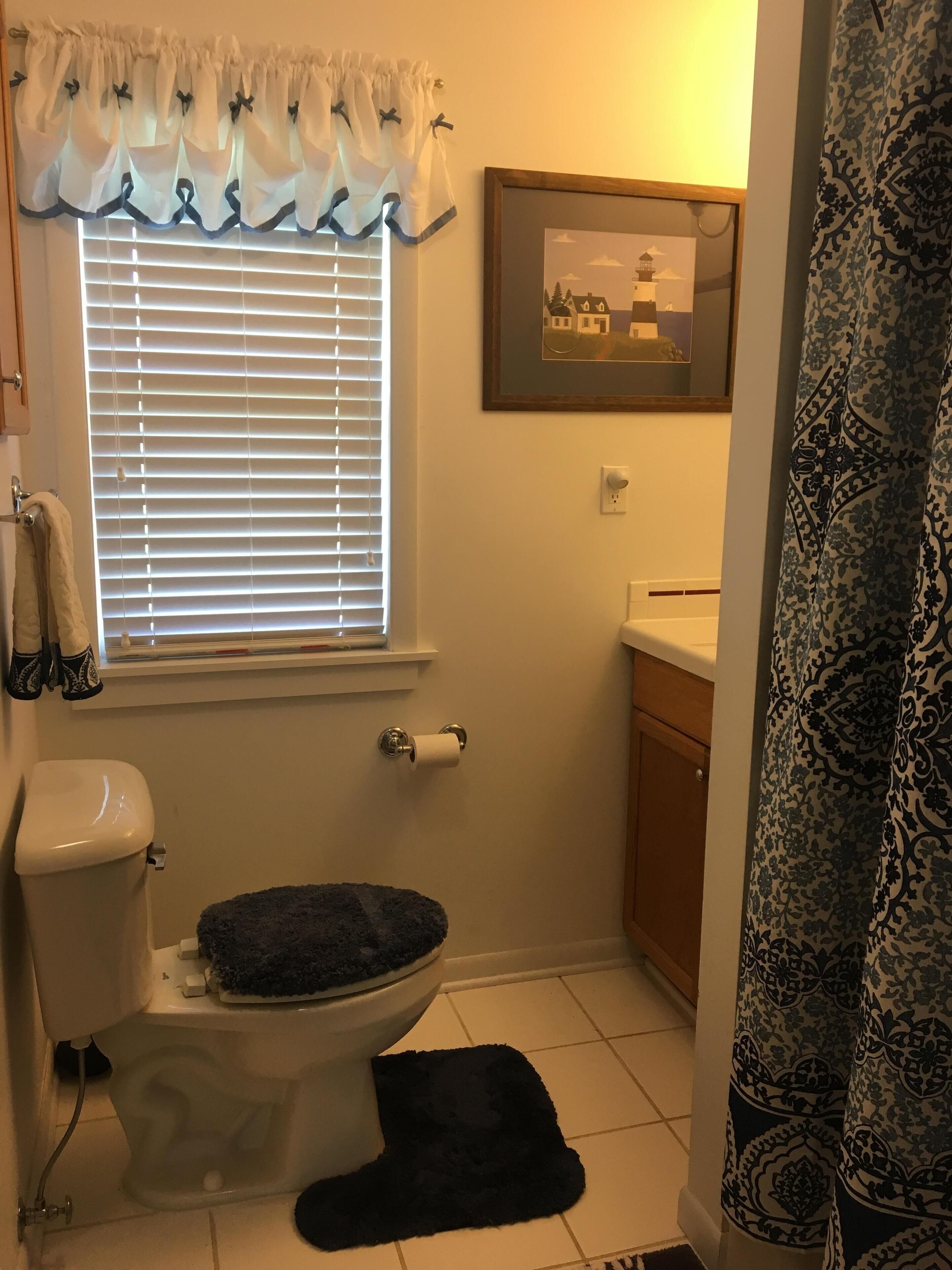 Shower, towels, soap, toilet paper