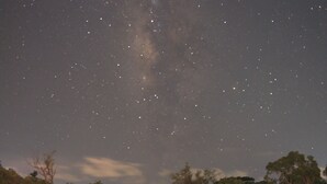 Sternenklarer Nachthimmel, ein sichtbares Andromedanebel und eine Baumlinie am Horizont.