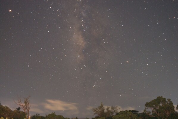 Un ciel nocturne constellé d’étoiles, une Voie lactée bien visible et une ligne d’arbres à l’horizon.