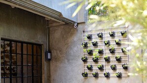A courtyard with a concrete wall, a window with bars, and a grid of potted plants. - Bhive Hotel (Iloilo)