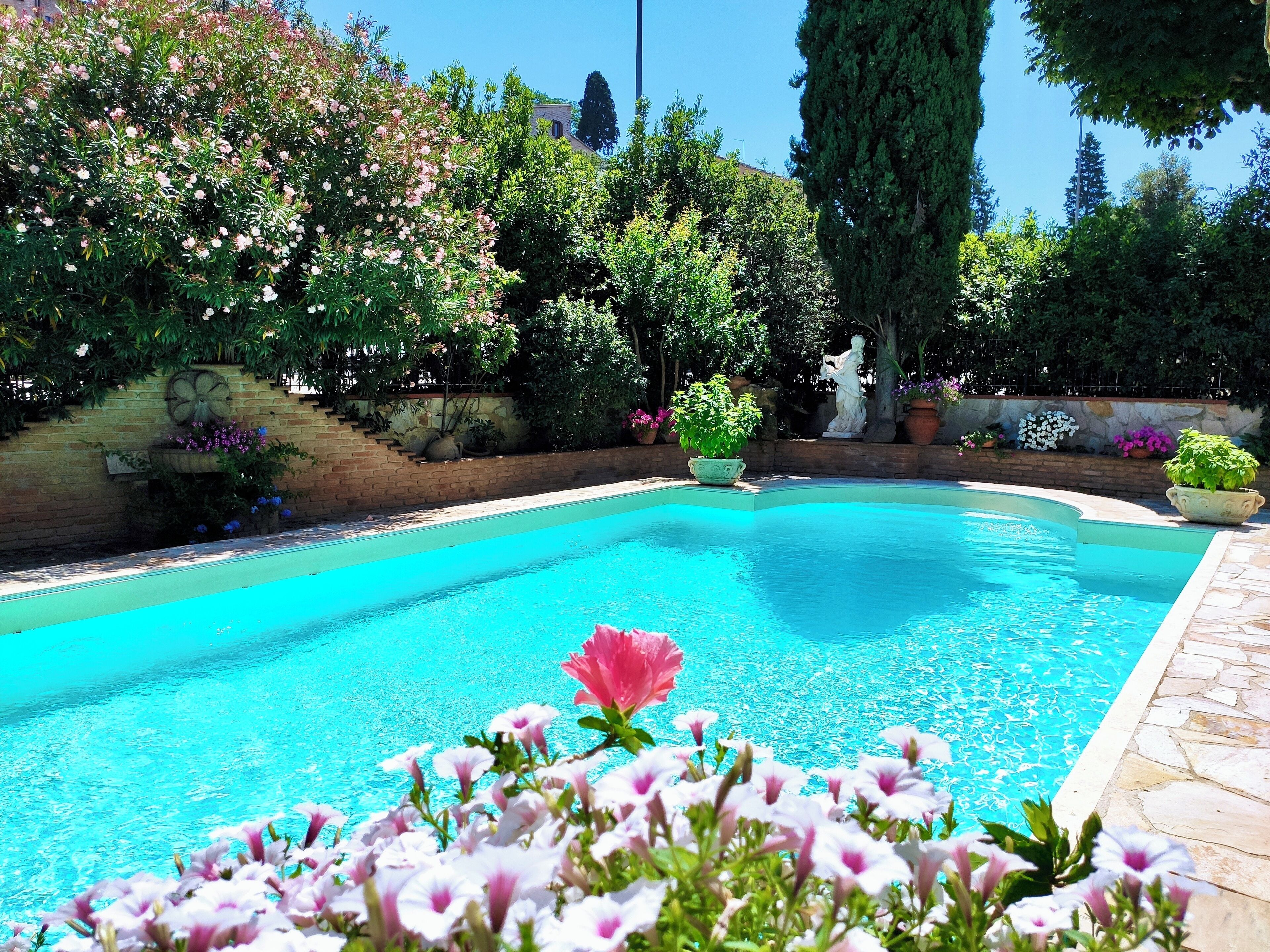 Une piscine entourée d’une végétation luxuriante et de plantes en pot.