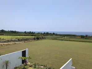 Vista desde la habitación