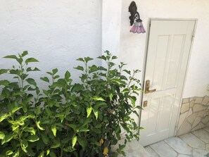 Front of property - Ocean Villa Honey (Miyakojima)