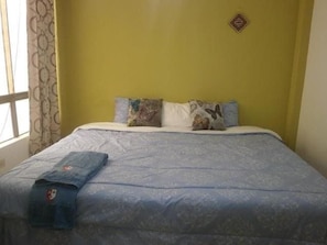 Minibar, iron/ironing board, free WiFi