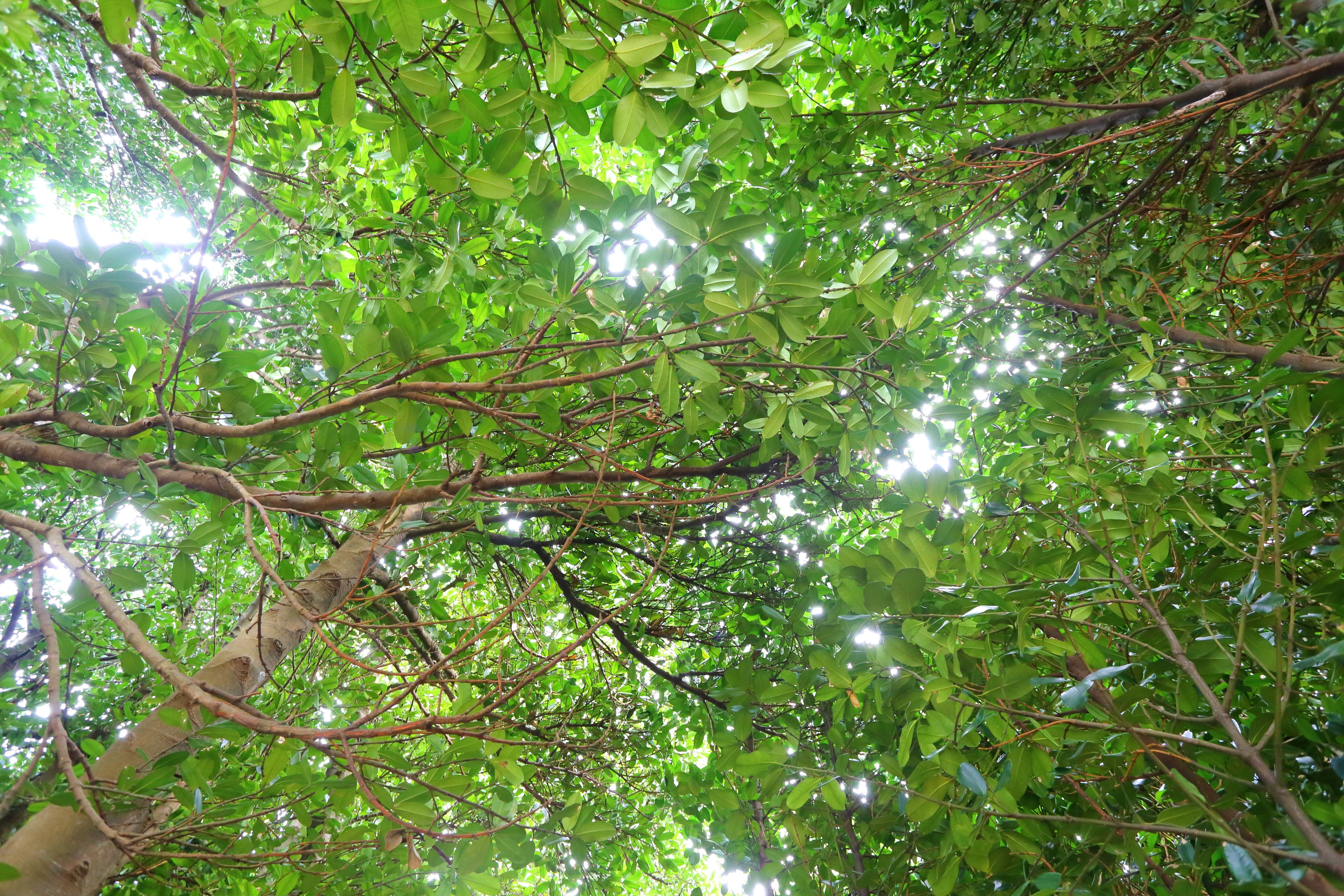 Hus | Utsikt fra balkong