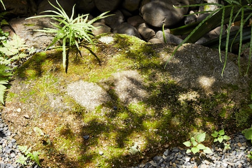 施設からの眺望