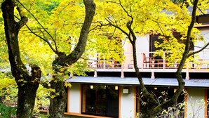 Un bâtiment moderne doté d’un toit plat et de grandes fenêtres, entouré d’arbres aux feuilles jaunes.