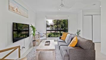 Televisio, DVD-soitin