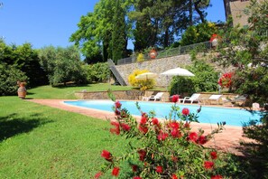 Pool - Beautiful villa with a splendid panoramic view over vineyards and olive groves. Ideal for visiting T (Monte San Savino)