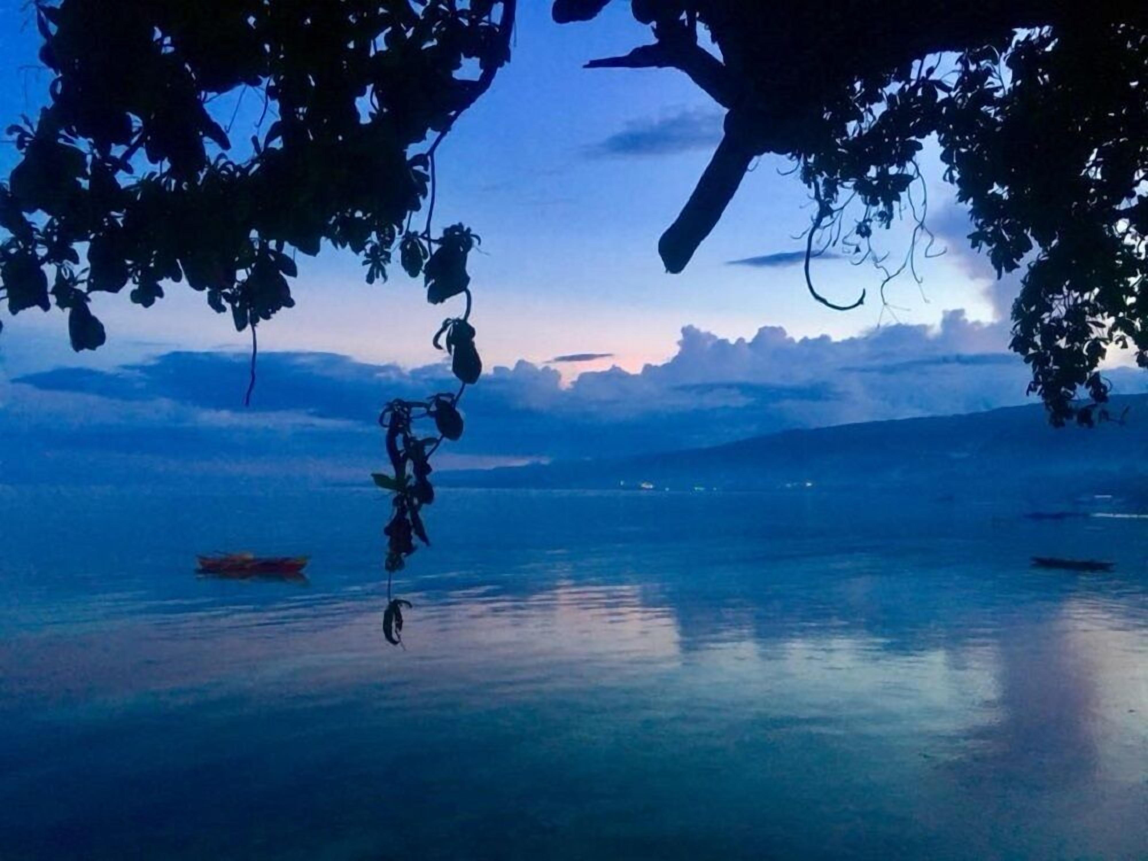 Un lago tranquilo al anochecer con barcos y la silueta de un árbol.