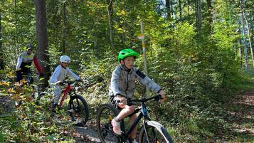 A forested path with cyclists.