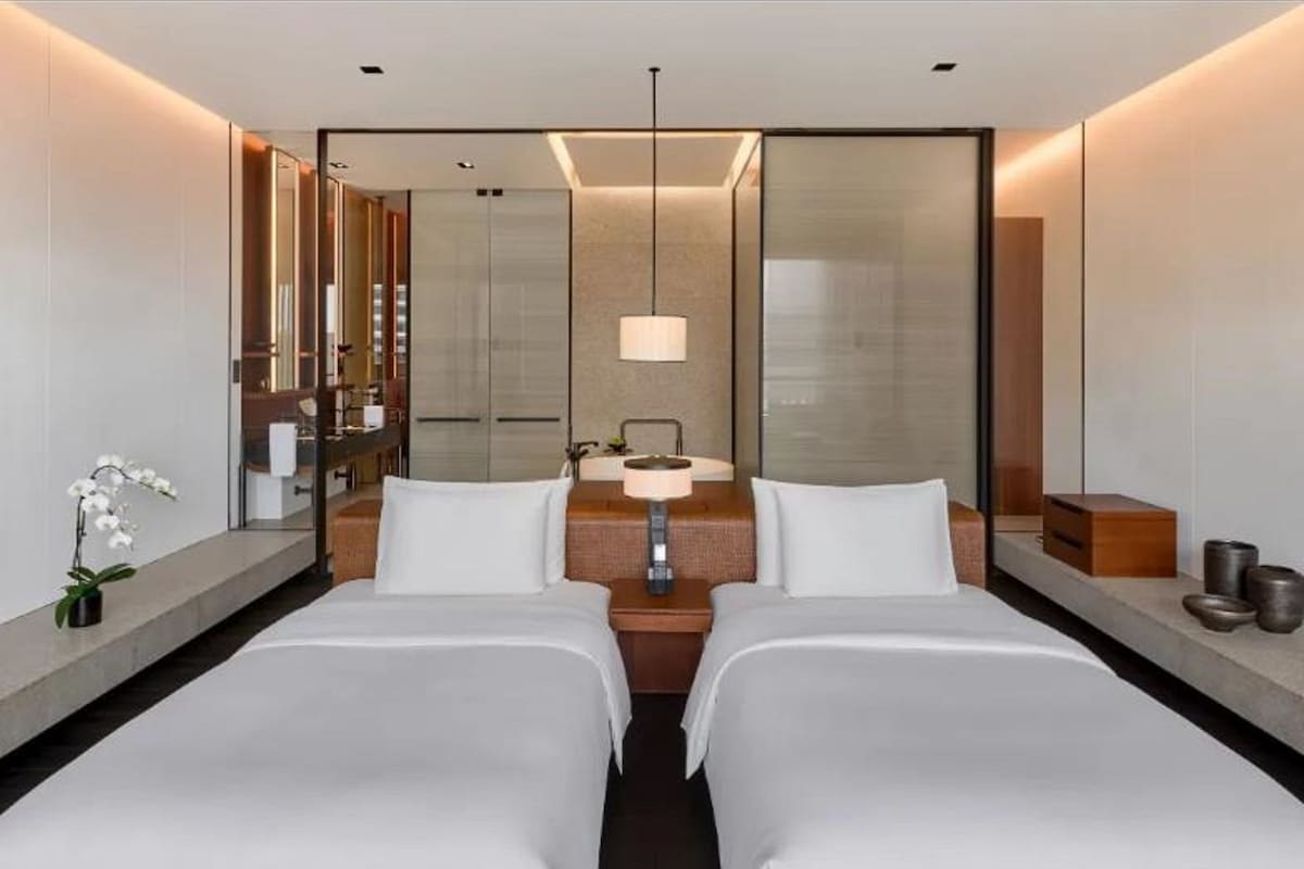 Una habitación de hotel moderna con dos camas, un espejo grande, una mesita de noche con lámpara y una pequeña planta en maceta.