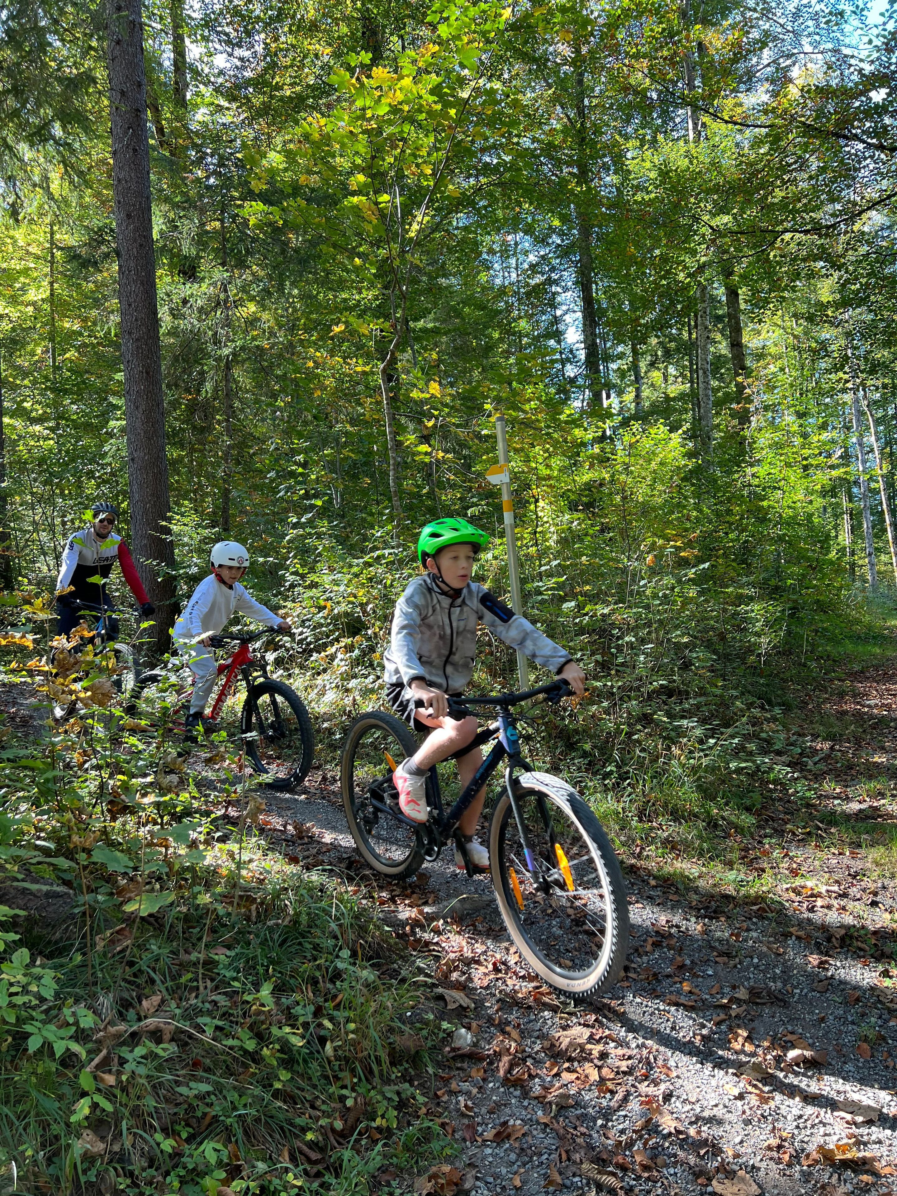 A forested path with cyclists.