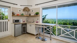 Une cuisine moderne dotée d’une grande fenêtre donnant sur un paysage magnifique.