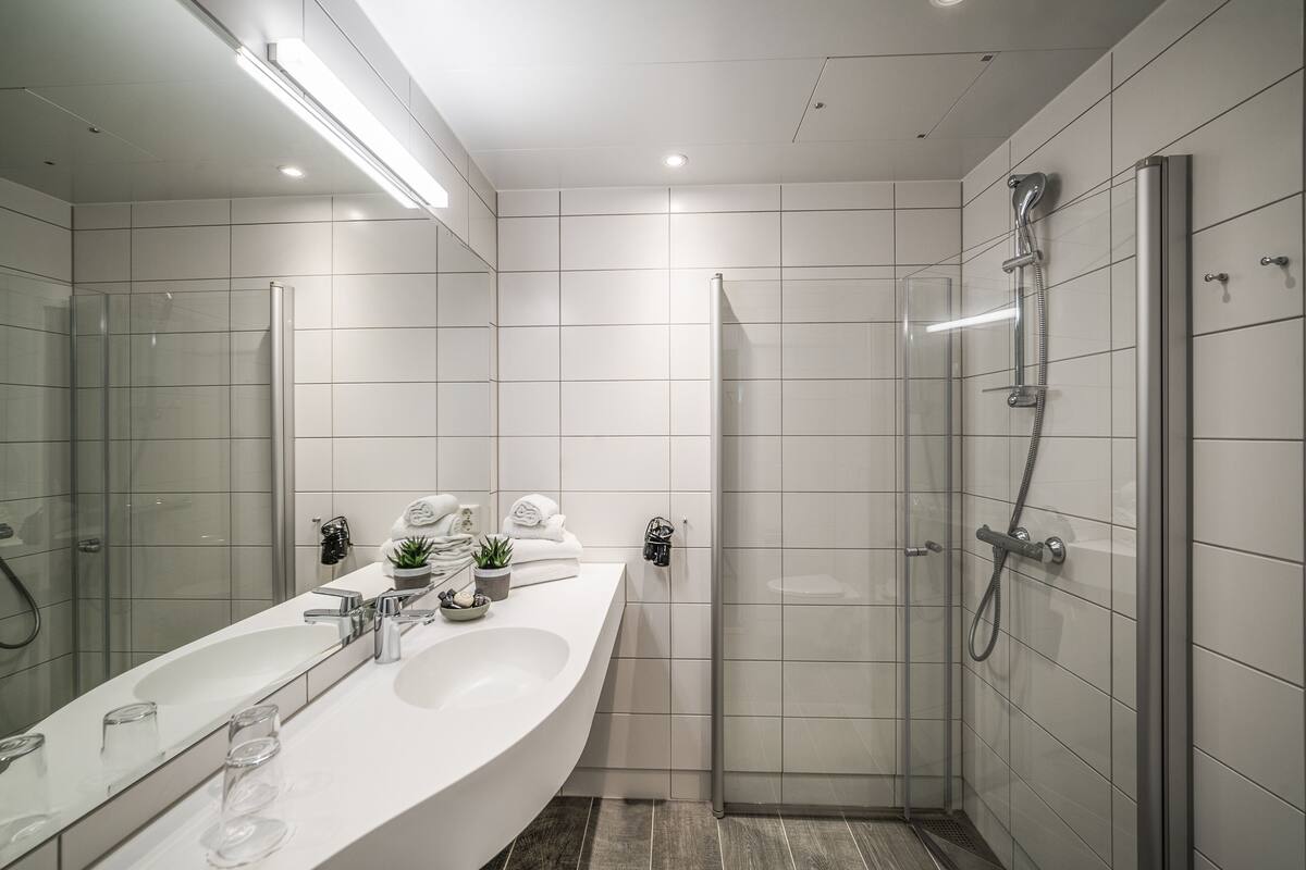 shower, free toiletries, hair dryer, towels