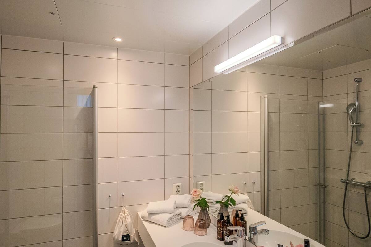 shower, free toiletries, hair dryer, towels