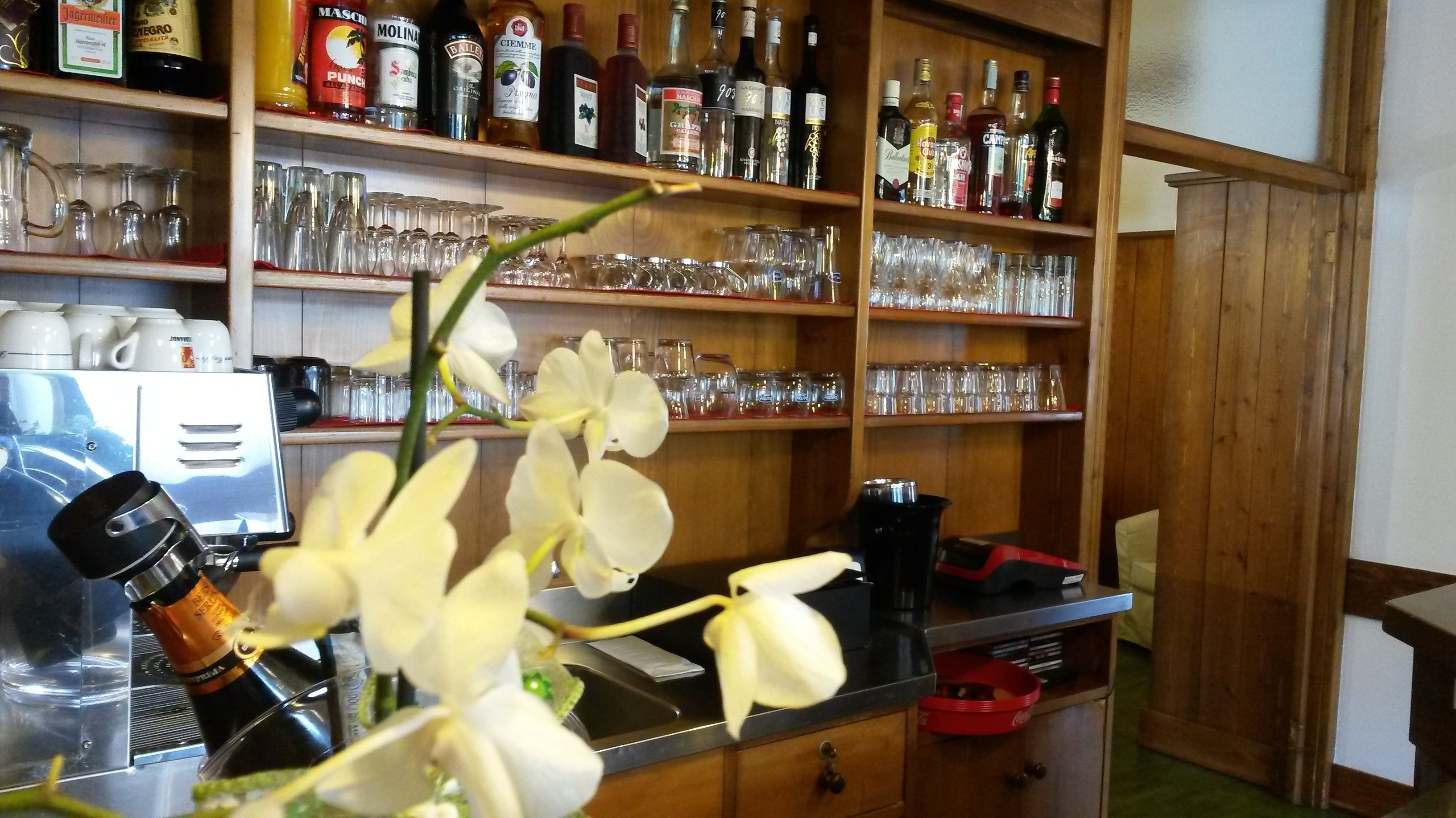 Bar (in der Unterkunft)