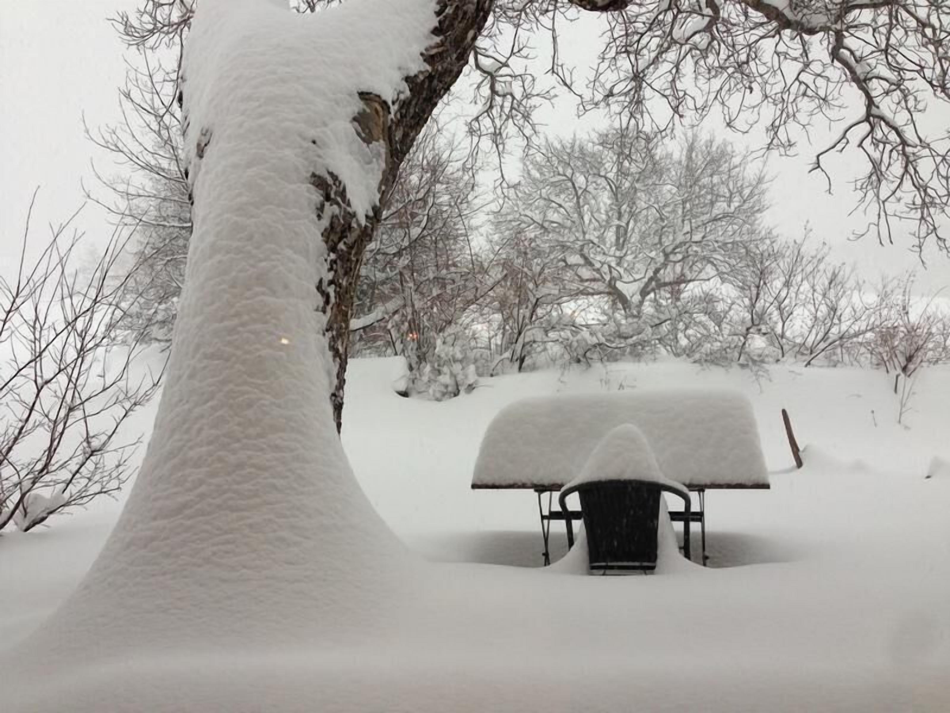 A snow-covered bench in a park with bare trees and a snow-covered ground.