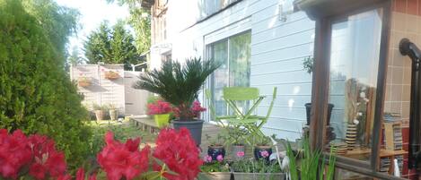A garden with a pond, potted plants, and a chair.