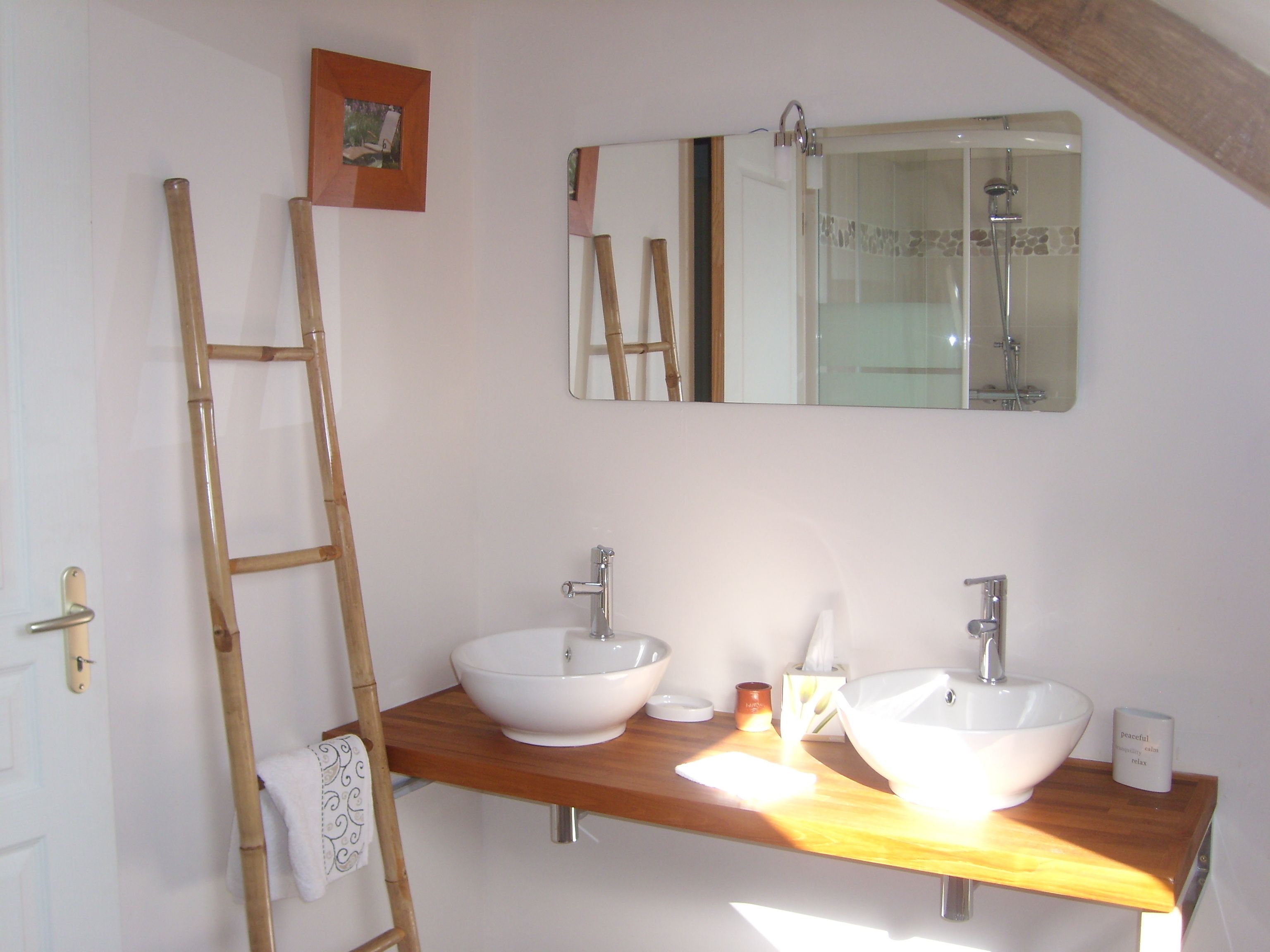 A bathroom with two sinks, a mirror, and a shower. There is a wooden ladder leaning against the wall.