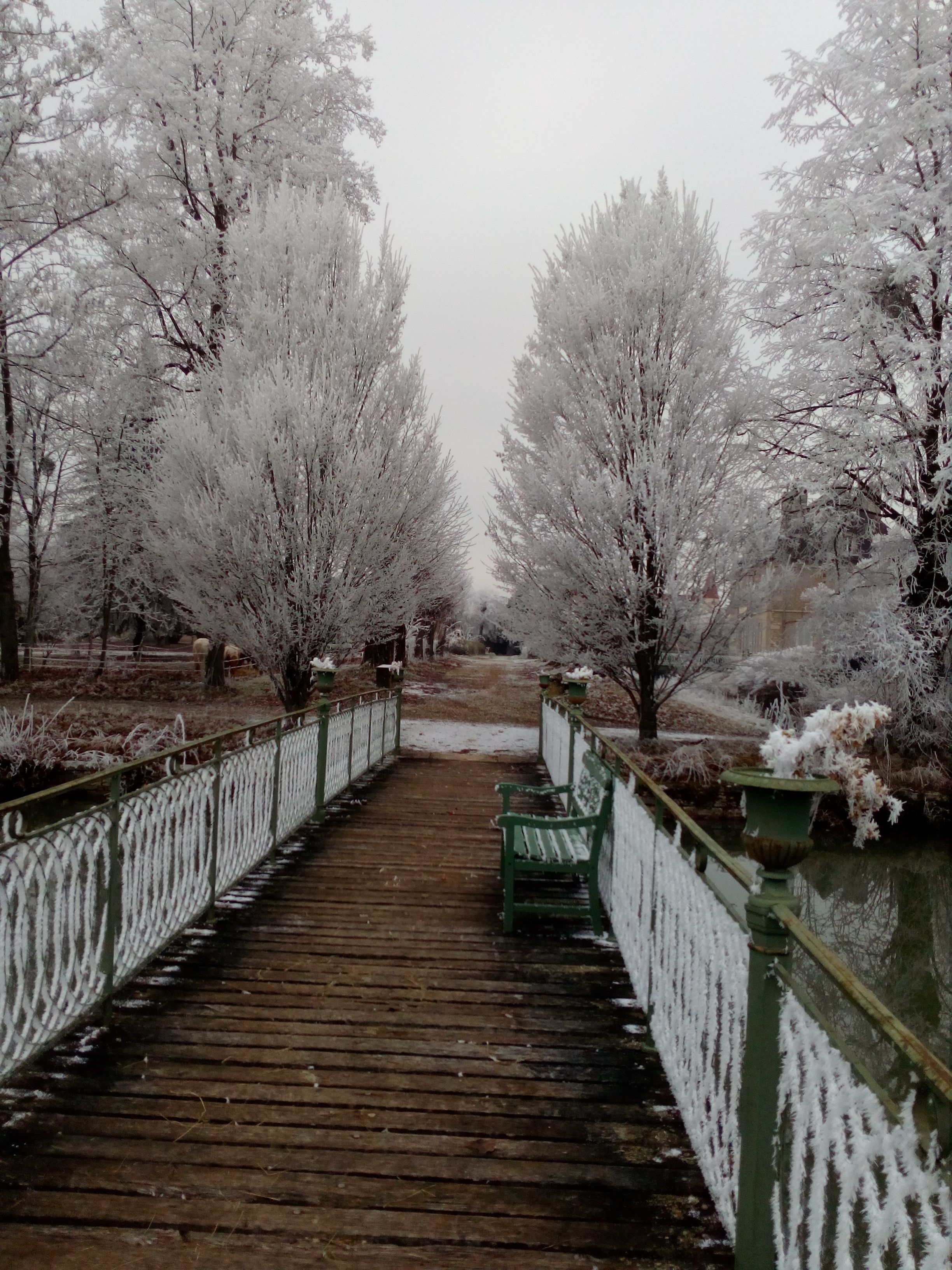 A wooden bridge with a green railing, surrounded by snow-covered trees.